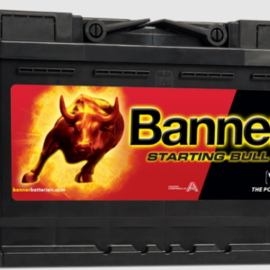 Banner Batterie Starting Bull 562 19 12V 62Ah (Regal4-P3) 24/7
